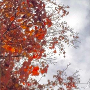 Meet your Posher, Hangma